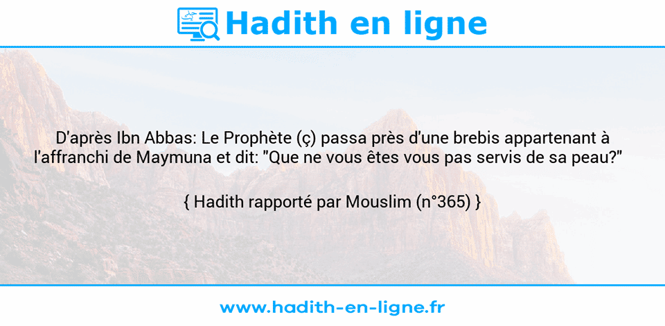 Une image avec le hadith : D'après Ibn Abbas: Le Prophète (ç) passa près d'une brebis appartenant à l'affranchi de Maymuna et dit: "Que ne vous êtes vous pas servis de sa peau?"   Hadith rapporté par Mouslim (n°365)