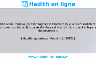 Une image avec le hadith : D'après Abou Houreira (qu'Allah l'agrée), le Prophète (que la prière d'Allah et Son salut soient sur lui) a dit: « La vie d'ici-bas est la prison du croyant et le paradis du mécréant ». Hadith rapporté par Mouslim (n°2956)