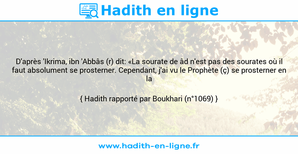 Une image avec le hadith : D'après 'Ikrima, ibn 'Abbâs (r) dit: «La sourate de âd n'est pas des sourates où il faut absolument se prosterner. Cependant, j'ai vu le Prophète (ç) se prosterner en la récitant.» Hadith rapporté par Boukhari (n°1069)