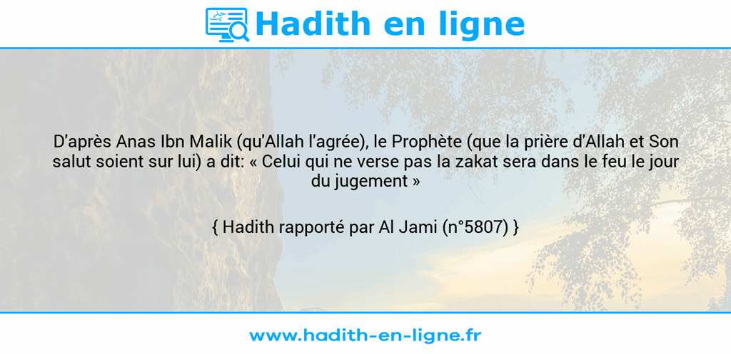 Une image avec le hadith : D'après Anas Ibn Malik (qu'Allah l'agrée), le Prophète (que la prière d'Allah et Son salut soient sur lui) a dit: « Celui qui ne verse pas la zakat sera dans le feu le jour du jugement » Hadith rapporté par Al Jami (n°5807)
