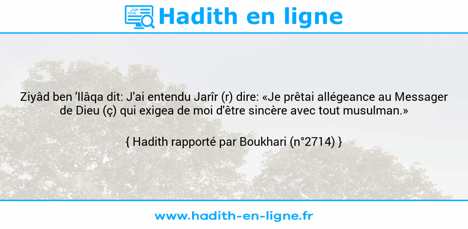 Une image avec le hadith : Ziyâd ben 'Ilâqa dit: J'ai entendu Jarîr (r) dire: «Je prêtai allégeance au Messager de Dieu (ç) qui exigea de moi d'être sincère avec tout musulman.» Hadith rapporté par Boukhari (n°2714)