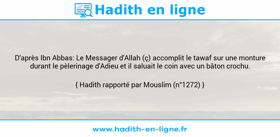 Une image avec le hadith : D'après Ibn Abbas: Le Messager d'Allah (ç) accomplit le tawaf sur une monture durant le pèlerinage d'Adieu et il saluait le coin avec un bâton crochu. Hadith rapporté par Mouslim (n°1272)