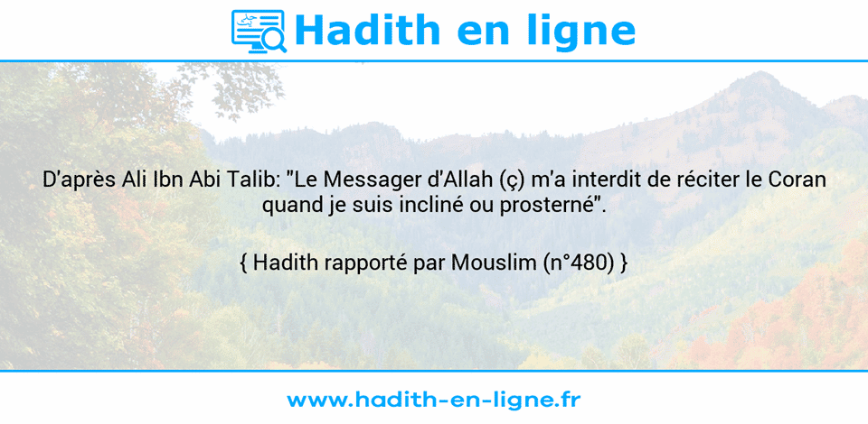 Une image avec le hadith : D'après Ali Ibn Abi Talib: "Le Messager d'Allah (ç) m'a interdit de réciter le Coran quand je suis incliné ou prosterné". Hadith rapporté par Mouslim (n°480)