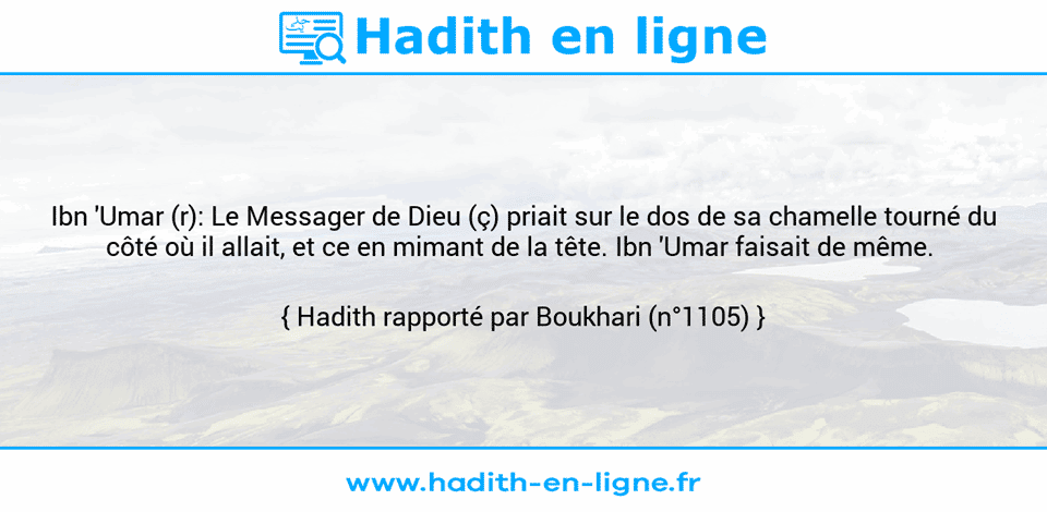 Une image avec le hadith : Ibn 'Umar (r): Le Messager de Dieu (ç) priait sur le dos de sa chamelle tourné du côté où il allait, et ce en mimant de la tête. Ibn 'Umar faisait de même.  Hadith rapporté par Boukhari (n°1105)