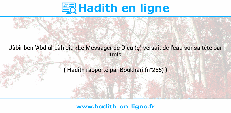 Une image avec le hadith : Jâbir ben 'Abd-ul-Lâh dit: «Le Messager de Dieu (ç) versait de l'eau sur sa tête par trois fois.» Hadith rapporté par Boukhari (n°255)