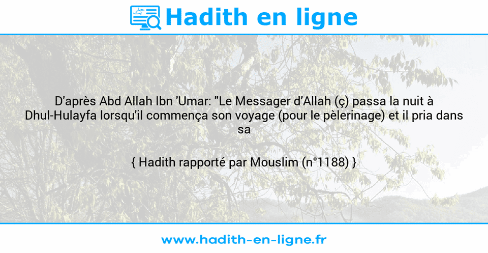 Une image avec le hadith : D'après Abd Allah Ibn 'Umar: "Le Messager d’Allah (ç) passa la nuit à Dhul-Hulayfa lorsqu'il commença son voyage (pour le pèlerinage) et il pria dans sa mosquée". Hadith rapporté par Mouslim (n°1188)