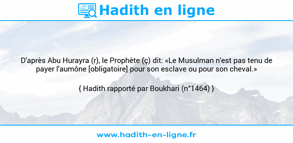 Une image avec le hadith : D'après Abu Hurayra (r), le Prophète (ç) dit: «Le Musulman n'est pas tenu de payer l'aumône [obligatoire] pour son esclave ou pour son cheval.» Hadith rapporté par Boukhari (n°1464)