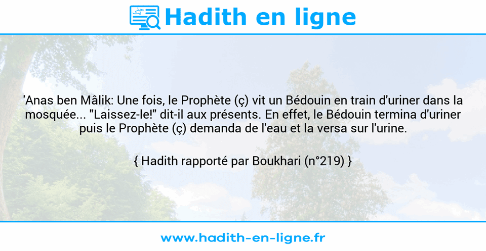 Une image avec le hadith : 'Anas ben Mâlik: Une fois, le Prophète (ç) vit un Bédouin en train d'uriner dans la mosquée... "Laissez-le!" dit-il aux présents. En effet, le Bédouin termina d'uriner puis le Prophète (ç) demanda de l'eau et la versa sur l'urine. Hadith rapporté par Boukhari (n°219)