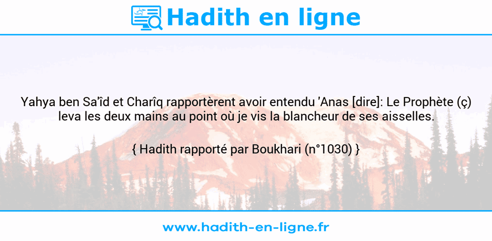 Une image avec le hadith : Yahya ben Sa'îd et Charîq rapportèrent avoir entendu 'Anas [dire]: Le Prophète (ç) leva les deux mains au point où je vis la blancheur de ses aisselles. Hadith rapporté par Boukhari (n°1030)