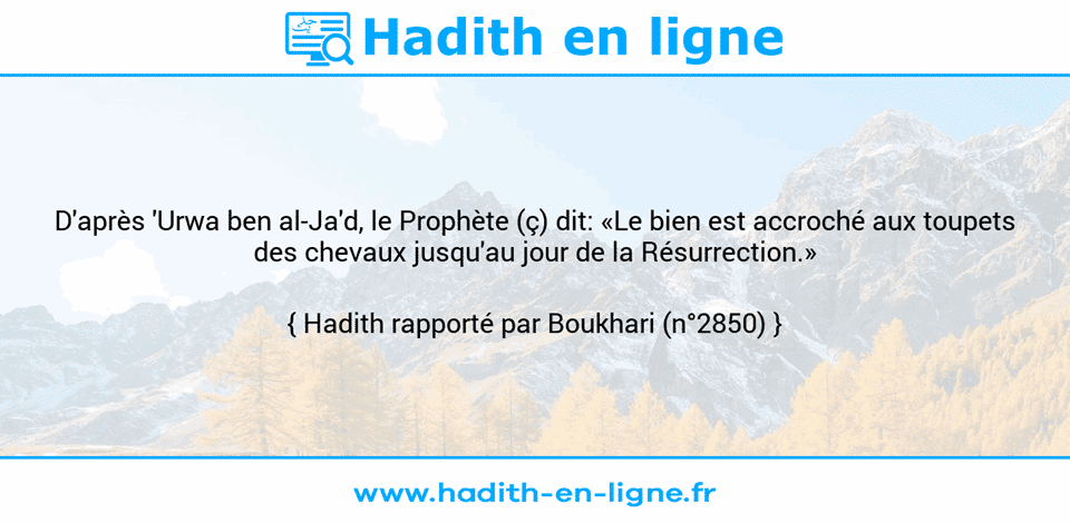 Une image avec le hadith : D'après 'Urwa ben al-Ja'd, le Prophète (ç) dit: «Le bien est accroché aux toupets des chevaux jusqu'au jour de la Résurrection.» Hadith rapporté par Boukhari (n°2850)