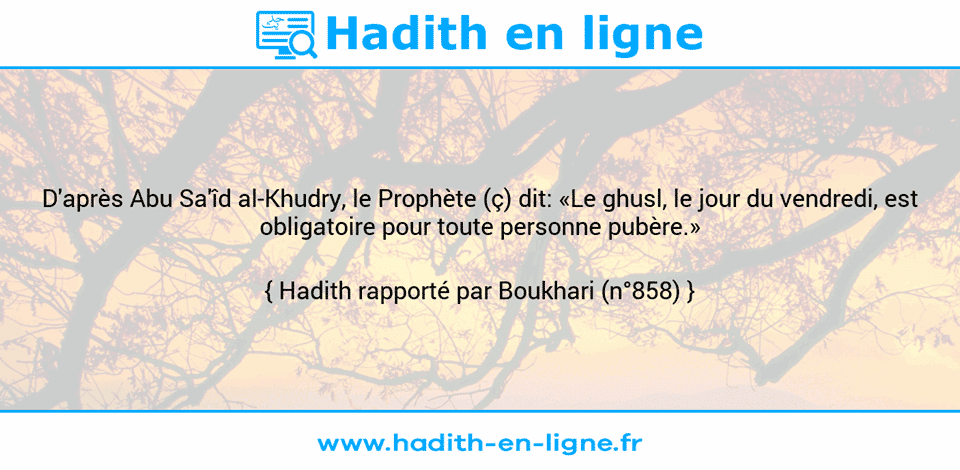 Une image avec le hadith : D'après Abu Sa'îd al-Khudry, le Prophète (ç) dit: «Le ghusl, le jour du vendredi, est obligatoire pour toute personne pubère.» Hadith rapporté par Boukhari (n°858)