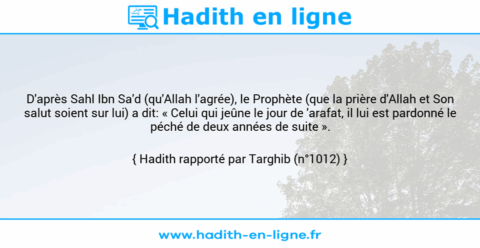 Une image avec le hadith : D'après Sahl Ibn Sa'd (qu'Allah l'agrée), le Prophète (que la prière d'Allah et Son salut soient sur lui) a dit: « Celui qui jeûne le jour de 'arafat, il lui est pardonné le péché de deux années de suite ». Hadith rapporté par Targhib (n°1012)