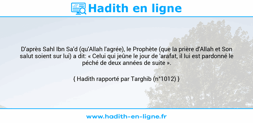 Une image avec le hadith : D'après Sahl Ibn Sa'd (qu'Allah l'agrée), le Prophète (que la prière d'Allah et Son salut soient sur lui) a dit: « Celui qui jeûne le jour de 'arafat, il lui est pardonné le péché de deux années de suite ». Hadith rapporté par Targhib (n°1012)