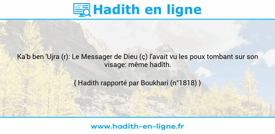 Une image avec le hadith : Ka'b ben 'Ujra (r): Le Messager de Dieu (ç) l'avait vu les poux tombant sur son visage: même hadîth. Hadith rapporté par Boukhari (n°1818)
