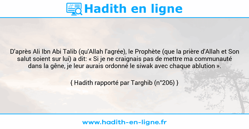 Une image avec le hadith : D'après Ali Ibn Abi Talib (qu'Allah l'agrée), le Prophète (que la prière d'Allah et Son salut soient sur lui) a dit: « Si je ne craignais pas de mettre ma communauté dans la gêne, je leur aurais ordonné le siwak avec chaque ablution ». Hadith rapporté par Targhib (n°206)