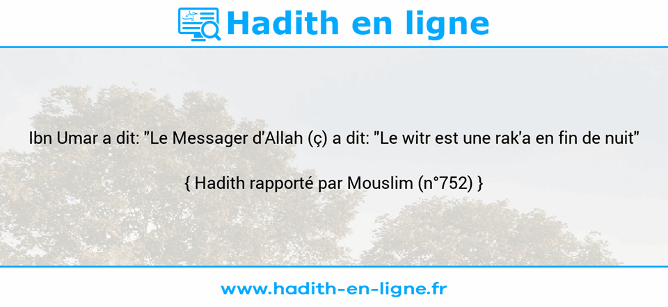 Une image avec le hadith : Ibn Umar a dit: "Le Messager d'Allah (ç) a dit: "Le witr est une rak'a en fin de nuit" Hadith rapporté par Mouslim (n°752)