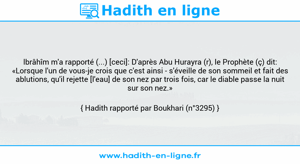 Une image avec le hadith :  lbrâhîm m'a rapporté (...) [ceci]: D'après Abu Hurayra (r), le Prophète (ç) dit: «Lorsque l'un de vous-je crois que c'est ainsi - s'éveille de son sommeil et fait des ablutions, qu'il rejette [l'eau] de son nez par trois fois, car le diable passe la nuit sur son nez.» Hadith rapporté par Boukhari (n°3295)