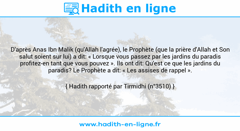 Une image avec le hadith : D'après Anas Ibn Malik (qu'Allah l'agrée), le Prophète (que la prière d'Allah et Son salut soient sur lui) a dit: « Lorsque vous passez par les jardins du paradis profitez-en tant que vous pouvez ». Ils ont dit: Qu'est ce que les jardins du paradis? Le Prophète a dit: « Les assises de rappel ». Hadith rapporté par Tirmidhi (n°3510)