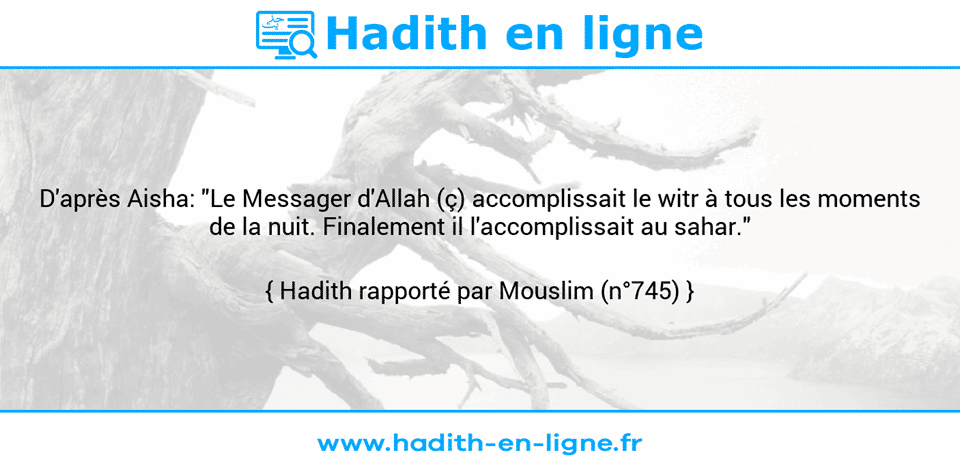 Une image avec le hadith : D'après Aisha: "Le Messager d'Allah (ç) accomplissait le witr à tous les moments de la nuit. Finalement il l'accomplissait au sahar." Hadith rapporté par Mouslim (n°745)