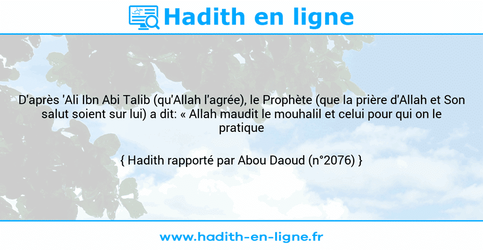 Une image avec le hadith : D'après 'Ali Ibn Abi Talib (qu'Allah l'agrée), le Prophète (que la prière d'Allah et Son salut soient sur lui) a dit: « Allah maudit le mouhalil et celui pour qui on le pratique ». Hadith rapporté par Abou Daoud (n°2076)