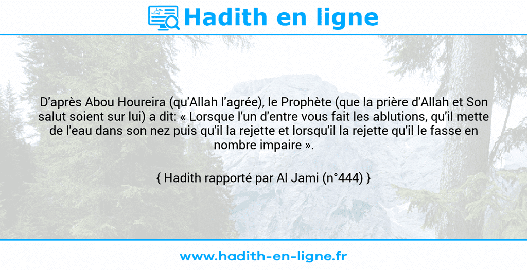 Une image avec le hadith : D'après Abou Houreira (qu'Allah l'agrée), le Prophète (que la prière d'Allah et Son salut soient sur lui) a dit: « Lorsque l'un d'entre vous fait les ablutions, qu'il mette de l'eau dans son nez puis qu'il la rejette et lorsqu'il la rejette qu'il le fasse en nombre impaire ». Hadith rapporté par Al Jami (n°444)