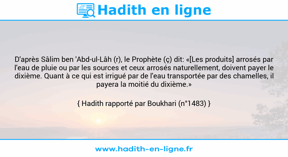 Une image avec le hadith : D'après Sâlim ben 'Abd-ul-Lâh (r), le Prophète (ç) dit: «[Les produits] arrosés par l'eau de pluie ou par les sources et ceux arrosés naturellement, doivent payer le dixième. Quant à ce qui est irrigué par de l'eau transportée par des chamelles, il payera la moitié du dixième.» Hadith rapporté par Boukhari (n°1483)