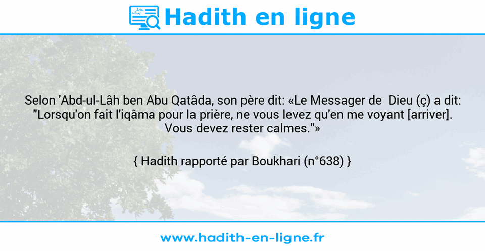 Une image avec le hadith : Selon 'Abd-ul-Lâh ben Abu Qatâda, son père dit: «Le Messager de  Dieu (ç) a dit: "Lorsqu'on fait l'iqâma pour la prière, ne vous levez qu'en me voyant [arriver]. Vous devez rester calmes."» Hadith rapporté par Boukhari (n°638)