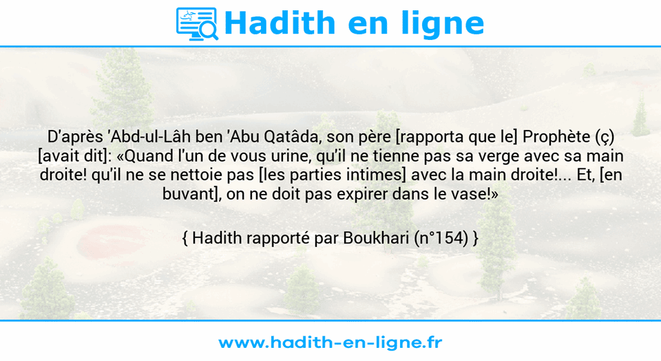 Une image avec le hadith : D'après 'Abd-ul-Lâh ben 'Abu Qatâda, son père [rapporta que le] Prophète (ç) [avait dit]: «Quand l'un de vous urine, qu'il ne tienne pas sa verge avec sa main droite! qu'il ne se nettoie pas [les parties intimes] avec la main droite!... Et, [en buvant], on ne doit pas expirer dans le vase!» Hadith rapporté par Boukhari (n°154)