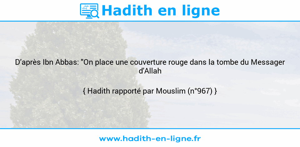 Une image avec le hadith : D’après Ibn Abbas: "On place une couverture rouge dans la tombe du Messager d'Allah (ç)". Hadith rapporté par Mouslim (n°967)