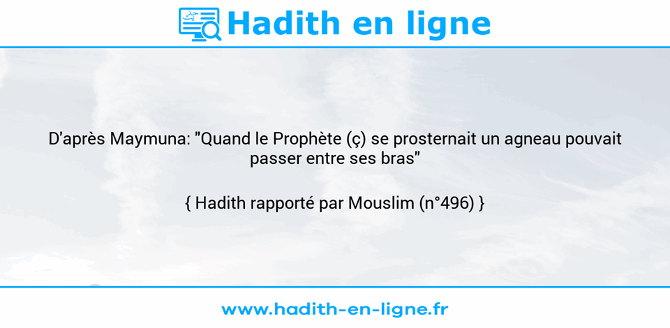 Une image avec le hadith : D'après Maymuna: "Quand le Prophète (ç) se prosternait un agneau pouvait passer entre ses bras" Hadith rapporté par Mouslim (n°496)