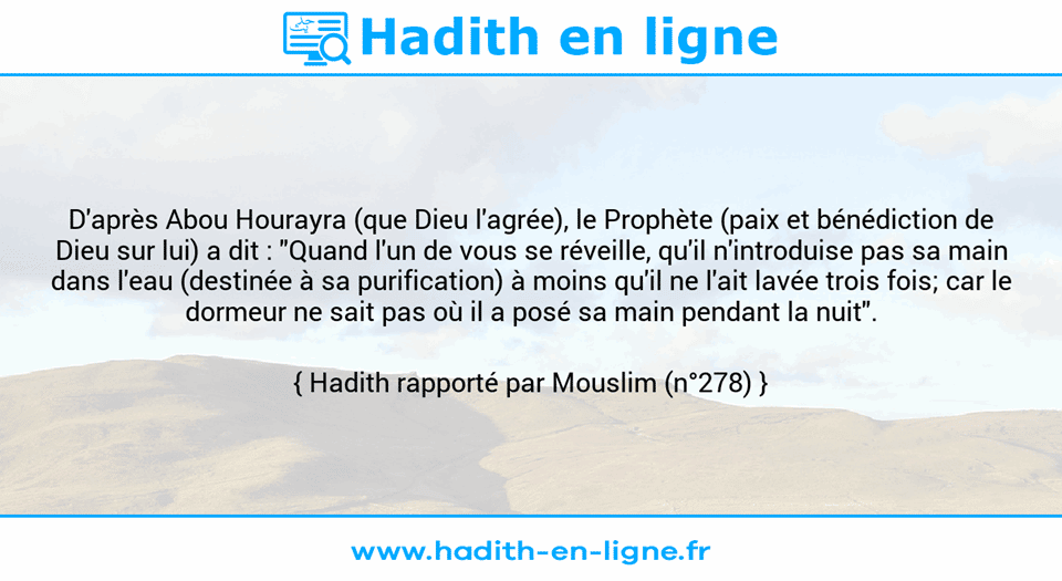 Une image avec le hadith : D'après Abou Hourayra (que Dieu l'agrée), le Prophète (paix et bénédiction de Dieu sur lui) a dit : "Quand l'un de vous se réveille, qu'il n'introduise pas sa main dans l'eau (destinée à sa purification) à moins qu'il ne l'ait lavée trois fois; car le dormeur ne sait pas où il a posé sa main pendant la nuit". Hadith rapporté par Mouslim (n°278)