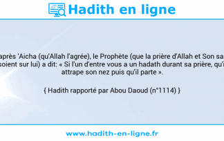 Une image avec le hadith : D'après 'Aicha (qu'Allah l'agrée), le Prophète (que la prière d'Allah et Son salut soient sur lui) a dit: « Si l'un d'entre vous a un hadath durant sa prière, qu'il attrape son nez puis qu'il parte ». Hadith rapporté par Abou Daoud (n°1114)