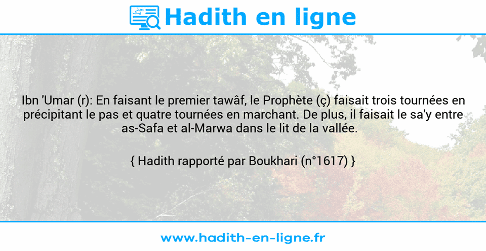 Une image avec le hadith : Ibn 'Umar (r): En faisant le premier tawâf, le Prophète (ç) faisait trois tournées en précipitant le pas et quatre tournées en marchant. De plus, il faisait le sa'y entre as-Safa et al-Marwa dans le lit de la vallée.   Hadith rapporté par Boukhari (n°1617)
