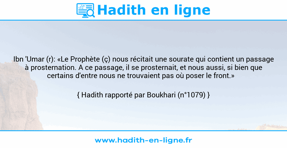 Une image avec le hadith :  Ibn 'Umar (r): «Le Prophète (ç) nous récitait une sourate qui contient un passage à prosternation. A ce passage, il se prosternait, et nous aussi, si bien que certains d'entre nous ne trouvaient pas où poser le front.»    Hadith rapporté par Boukhari (n°1079)