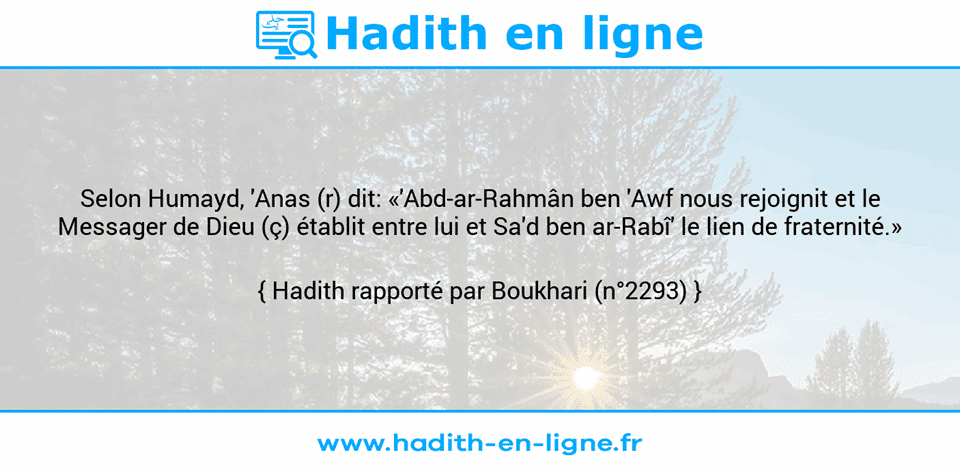 Une image avec le hadith : Selon Humayd,	'Anas (r) dit: «'Abd-ar-Rahmân ben 'Awf nous rejoignit et le Messager de Dieu (ç) établit entre lui et Sa'd ben ar-Rabî' le lien de fraternité.» Hadith rapporté par Boukhari (n°2293)