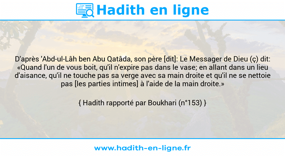 Une image avec le hadith : D'après 'Abd-ul-Lâh ben Abu Qatâda, son père [dit]: Le Messager de Dieu (ç) dit: «Quand l'un de vous boit, qu'il n'expire pas dans le vase; en allant dans un lieu d'aisance, qu'il ne touche pas sa verge avec sa main droite et qu'il ne se nettoie pas [les parties intimes] à l'aide de la main droite.» Hadith rapporté par Boukhari (n°153)