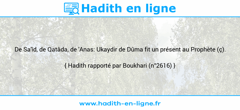Une image avec le hadith : De Sa'îd, de Qatâda, de 'Anas: Ukaydir de Dûma fit un présent au Prophète (ç). Hadith rapporté par Boukhari (n°2616)