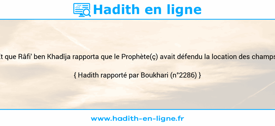 Une image avec le hadith : Et que Râfi' ben Khadîja rapporta que le Prophète(ç) avait défendu la location des champs. Hadith rapporté par Boukhari (n°2286)