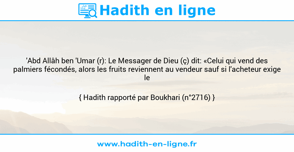 Une image avec le hadith : 'Abd Allâh ben 'Umar (r): Le Messager de Dieu (ç) dit: «Celui qui vend des palmiers fécondés, alors les fruits reviennent au vendeur sauf si l'acheteur exige le contraire...» Hadith rapporté par Boukhari (n°2716)