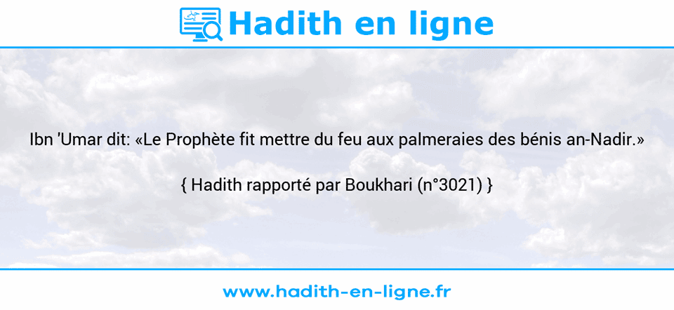Une image avec le hadith :  Ibn 'Umar dit: «Le Prophète fit mettre du feu aux palmeraies des bénis an-Nadir.» Hadith rapporté par Boukhari (n°3021)