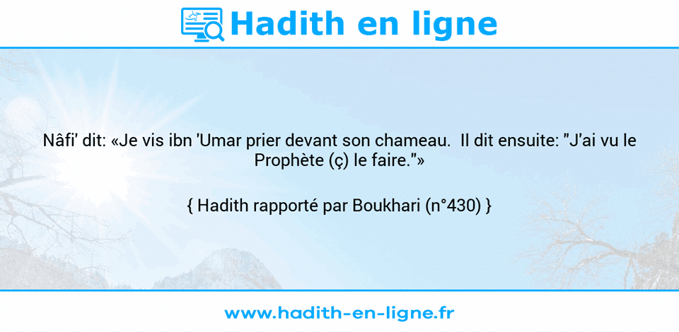Une image avec le hadith : Nâfi' dit: «Je vis ibn 'Umar prier devant son chameau.  Il dit ensuite: "J'ai vu le Prophète (ç) le faire."» Hadith rapporté par Boukhari (n°430)