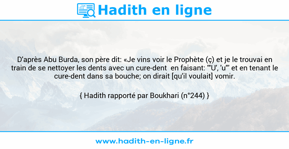 Une image avec le hadith : D'après Abu Burda, son père dit: «Je vins voir le Prophète (ç) et je le trouvai en train de se nettoyer les dents avec un cure-dent  en faisant: '"U', 'u"' et en tenant le cure-dent dans sa bouche; on dirait [qu'il voulait] vomir. Hadith rapporté par Boukhari (n°244)