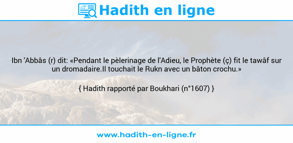 Une image avec le hadith : Ibn 'Abbâs (r) dit: «Pendant le pèlerinage de l'Adieu, le Prophète (ç) fit le tawâf sur un dromadaire.Il touchait le Rukn avec un bâton crochu.» Hadith rapporté par Boukhari (n°1607)