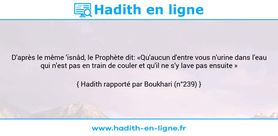 Une image avec le hadith : D'après le même 'isnâd, le Prophète dit: «Qu'aucun d'entre vous n'urine dans l'eau qui n'est pas en train de couler et qu'il ne s'y lave pas ensuite » Hadith rapporté par Boukhari (n°239)