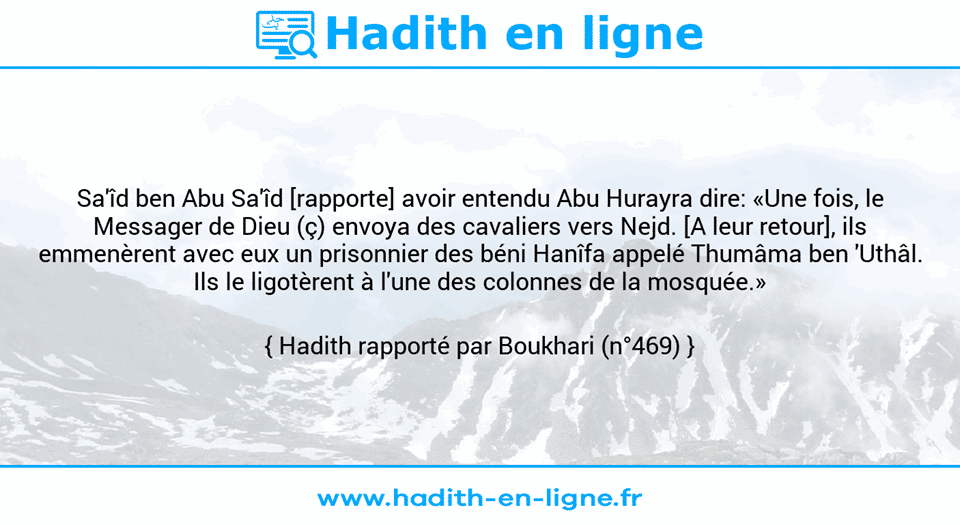 Une image avec le hadith : Sa'îd ben Abu Sa'îd [rapporte] avoir entendu Abu Hurayra dire: «Une fois, le Messager de Dieu (ç) envoya des cavaliers vers Nejd. [A leur retour], ils emmenèrent avec eux un prisonnier des béni Hanîfa appelé Thumâma ben 'Uthâl. Ils le ligotèrent à l'une des colonnes de la mosquée.» Hadith rapporté par Boukhari (n°469)
