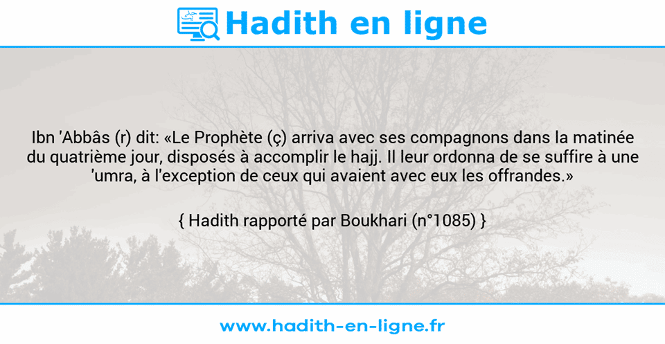 Une image avec le hadith : Ibn 'Abbâs (r) dit: «Le Prophète (ç) arriva avec ses compagnons dans la matinée du quatrième jour, disposés à accomplir le hajj. Il leur ordonna de se suffire à une 'umra, à l'exception de ceux qui avaient avec eux les offrandes.» Hadith rapporté par Boukhari (n°1085)