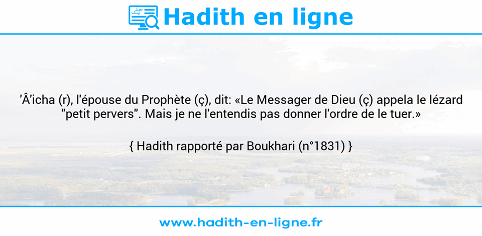 Une image avec le hadith : 'Â'icha (r), l'épouse du Prophète (ç), dit: «Le Messager de Dieu (ç) appela le lézard "petit pervers". Mais je ne l'entendis pas donner l'ordre de le tuer.» Hadith rapporté par Boukhari (n°1831)
