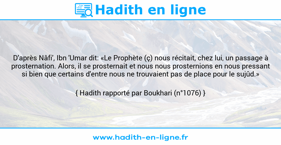 Une image avec le hadith : D'après Nâfi', Ibn 'Umar dit: «Le Prophète (ç) nous récitait, chez lui, un passage à prosternation. Alors, il se prosternait et nous nous prosternions en nous pressant si bien que certains d'entre nous ne trouvaient pas de place pour le sujûd.» Hadith rapporté par Boukhari (n°1076)
