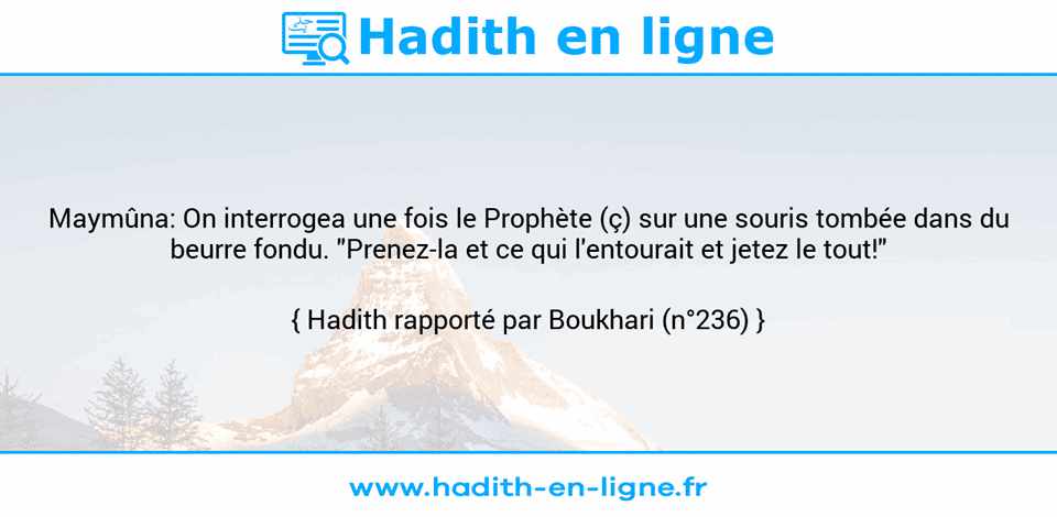 Une image avec le hadith : Maymûna: On interrogea une fois le Prophète (ç) sur une souris tombée dans du beurre fondu. "Prenez-la et ce qui l'entourait et jetez le tout!" Hadith rapporté par Boukhari (n°236)