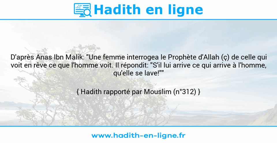 Une image avec le hadith : D'après Anas Ibn Malik: "Une femme interrogea le Prophète d'Allah (ç) de celle qui voit en rêve ce que l'homme voit. Il répondit: "S'il lui arrive ce qui arrive à l'homme, qu'elle se lave!"" Hadith rapporté par Mouslim (n°312)